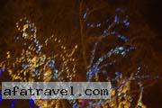 ukraine-women-12-08-278