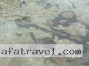 colombian-women-city-tour-44