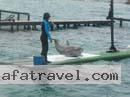 colombian-women-city-tour-52