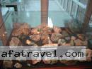 colombian-women-city-tour-6