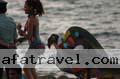 carnival-695