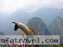 Machu-Picchu-009