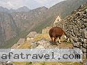 Machu-Picchu-020
