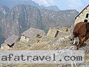 Machu-Picchu-021