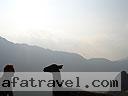 Machu-Picchu-027